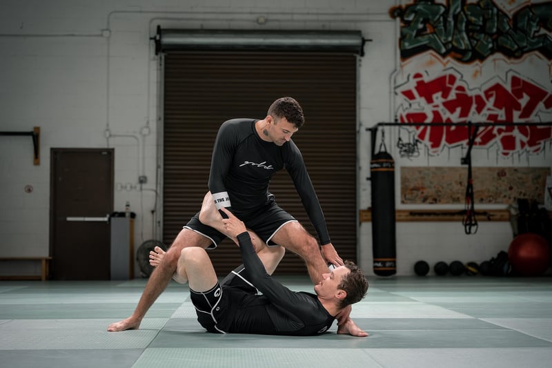 Jiu-Jitsu Fighter